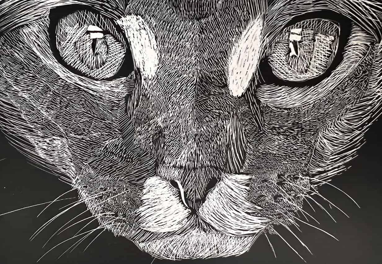 Scratchboard Art Lesson: A Student Favorite - Art With Trista