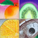 Georgia O'Keeffe inspired art lesson idea