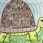 texture tortoise art lesson