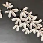 middle school form art lesson idea